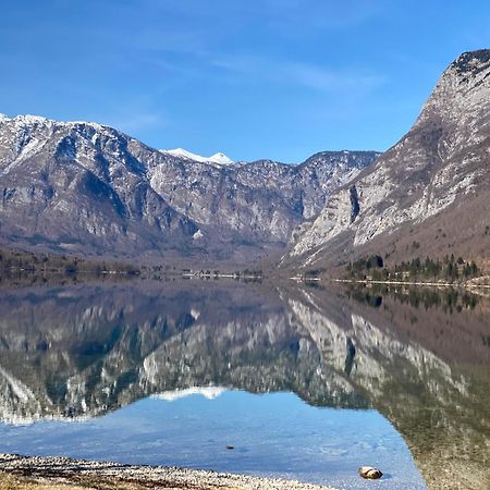 Mountain View In Triglav National Park Διαμέρισμα Bohinj Εξωτερικό φωτογραφία