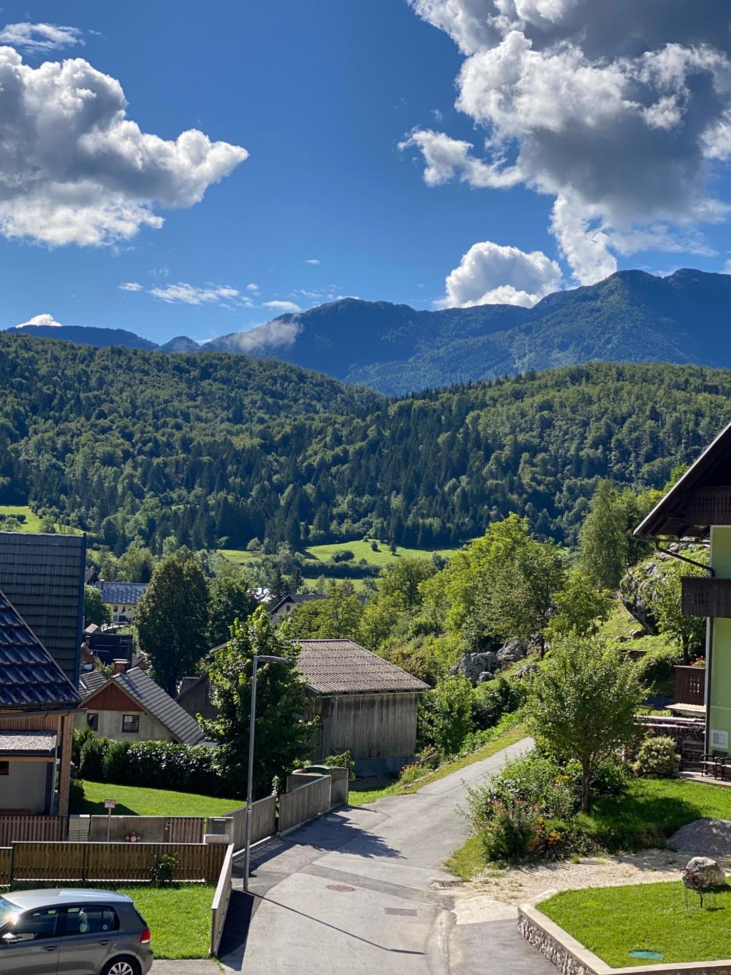 Mountain View In Triglav National Park Διαμέρισμα Bohinj Εξωτερικό φωτογραφία