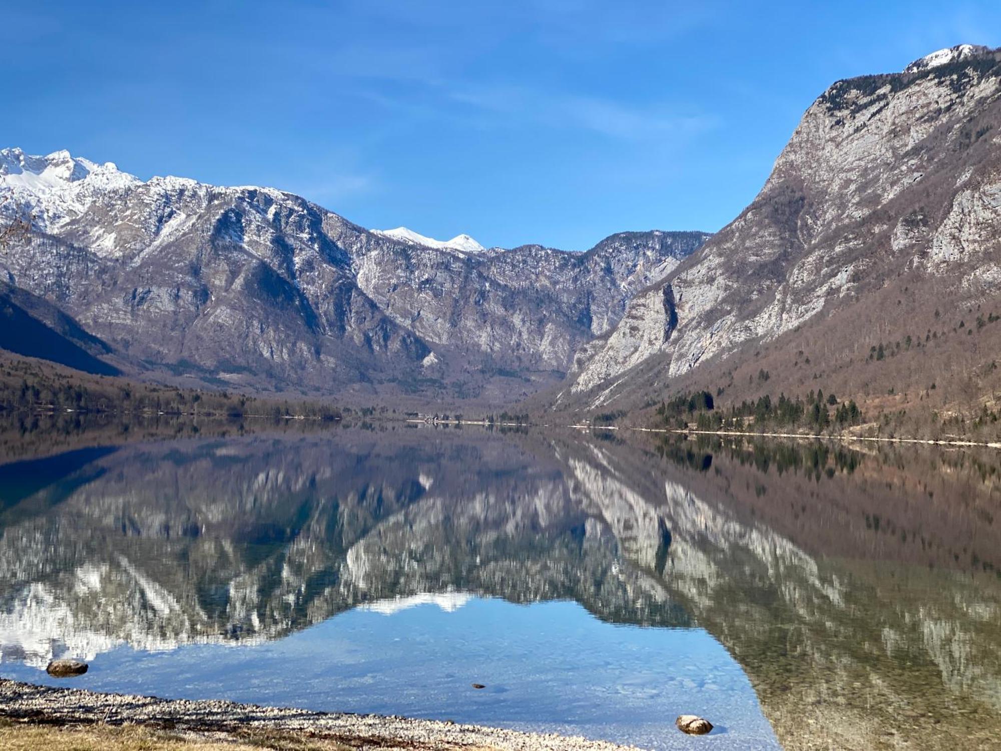 Mountain View In Triglav National Park Διαμέρισμα Bohinj Εξωτερικό φωτογραφία